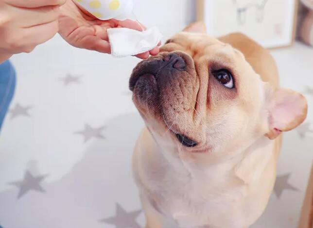 寵物用品進(jìn)口報(bào)關(guān)關(guān)稅稅率（寵物用品進(jìn)口關(guān)稅是多少？）