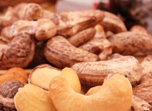 越南鹽焗腰果進口報關清關代理服務【經典案例】